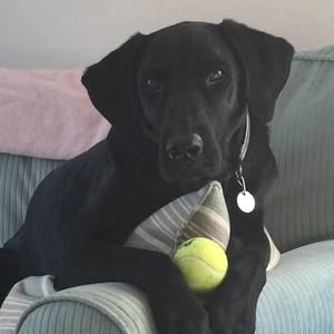 Meet your Posher, Luanne